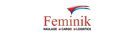 Feminik